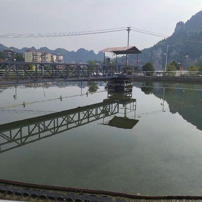 Aço carbono periférico da movimentação do meio equipamento do raspador de lama da ponte