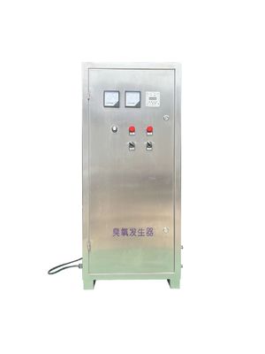 A água do gerador do ozônio da fonte de ar 304SS refrigerou o equipamento 10g industrial 100g do ozônio